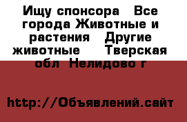 Ищу спонсора - Все города Животные и растения » Другие животные   . Тверская обл.,Нелидово г.